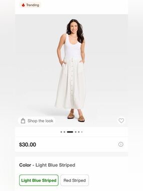 NWT Maxi skirt, size small light blue striped